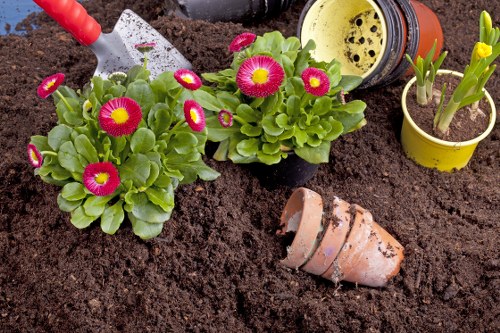 Lush Bermondsey garden maintained by professionals