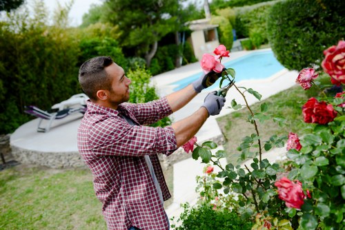 Gardener working in a Bermondsey courtyard garden