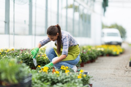 Selection of native plants suitable for Bermondsey