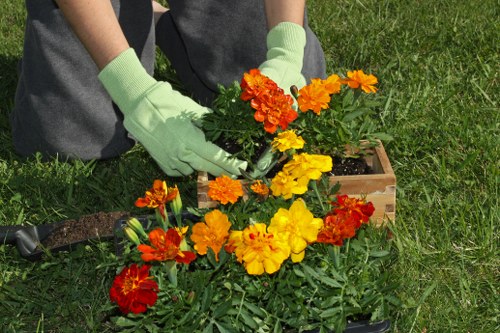 A person wearing light green gardening gloves is planting vibrant orange, yellow, and red flowering plants into a small wooden planter box placed on a well-maintained grassy lawn in a garden setting. The lawn features lush, dense grass with a rich green tone, and the surrounding environment appears tidy and cared for. The garden area includes a mix of mature shrubs and trees in the background, with a paved pathway nearby. The natural sunlight highlights the colours of the flowers and the textures of the foliage, indicating a clear, bright day ideal for outdoor gardening activities. This scene reflects professional garden maintenance practices, focusing on planting and cultivating flower beds, as offered by Garden Maintenance Bermondsey, in the Bermondsey area, London, with attention to detailed landscaping and outdoor care.