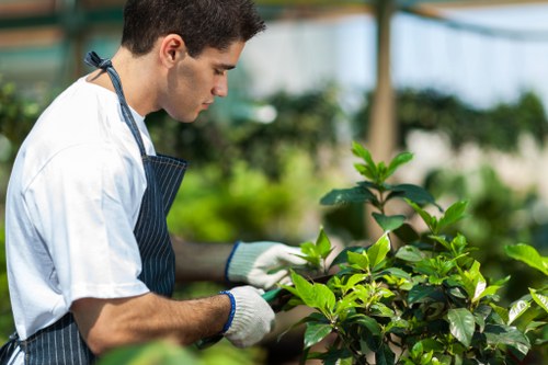 Worker wearing PPE while operating garden machinery in Bermondsey