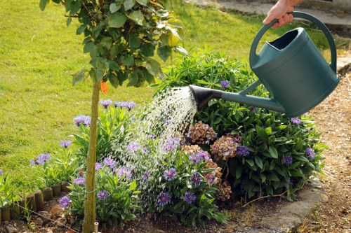 Modern lawn care tools and technology in use